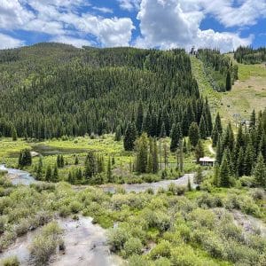 Kindred View 10