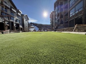 Astroturf. 11.11.2025